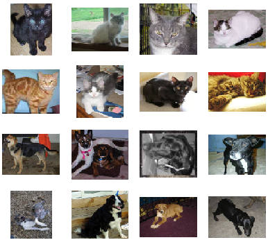 Cat Dog Classification